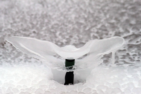 frozen sprinkler